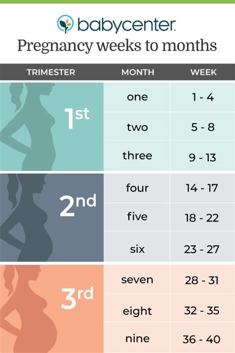 15 weeks pregnant in months.